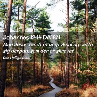Picture 02 - Johannes 12:14 DA1871 - Men Jesus fandt et ungt Æsel og satte sig - Bible Verse Picture