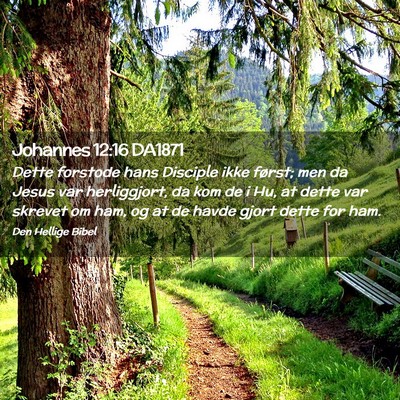 Picture 02 - Johannes 12:16 DA1871 - Dette forstode hans Disciple ikke først; men da - Bible Verse Picture