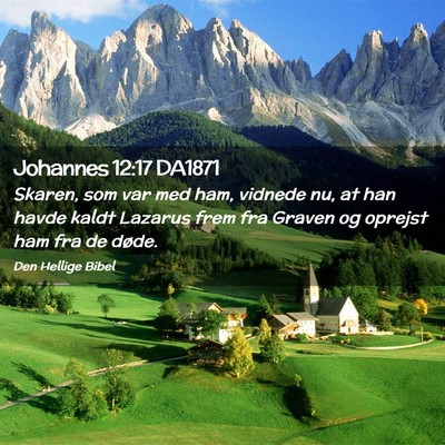 Picture 02 - Johannes 12:17 DA1871 - Skaren, som var med ham, vidnede nu, at han havde - Bible Verse Picture