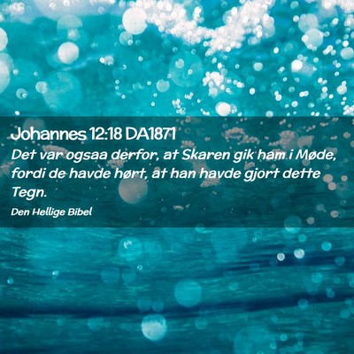 Picture 02 - Johannes 12:18 DA1871 - Det var ogsaa derfor, at Skaren gik ham i Møde, - Bible Verse Picture