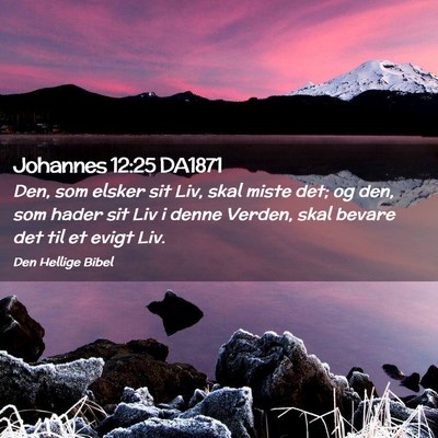 Picture 02 - Johannes 12:25 DA1871 - Den, som elsker sit Liv, skal miste det; og den, - Bible Verse Picture