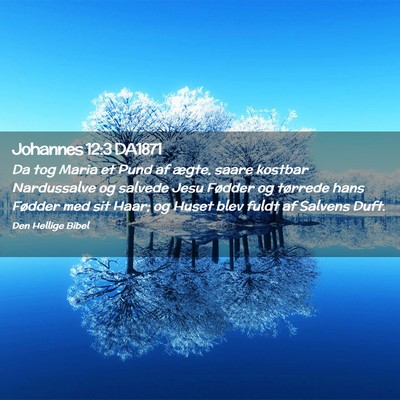 Picture 02 - Johannes 12:3 DA1871 - Da tog Maria et Pund af ægte, saare kostbar - Bible Verse Picture
