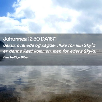Picture 02 - Johannes 12:30 DA1871 - Jesus svarede og sagde: „Ikke for min Skyld er - Bible Verse Picture