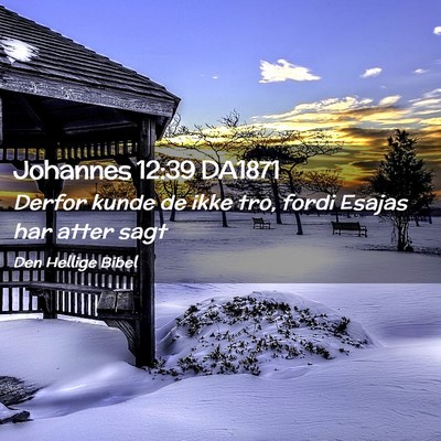 Picture 02 - Johannes 12:39 DA1871 - Derfor kunde de ikke tro, fordi Esajas har atter - Bible Verse Picture