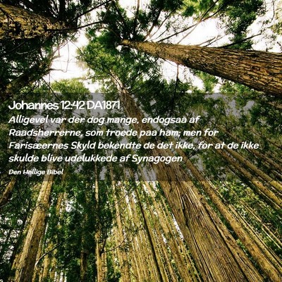 Picture 02 - Johannes 12:42 DA1871 - Alligevel var der dog mange, endogsaa af - Bible Verse Picture