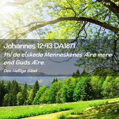 Picture 02 - Johannes 12:43 DA1871 - thi de elskede Menneskenes Ære mere end Guds - Bible Verse Picture