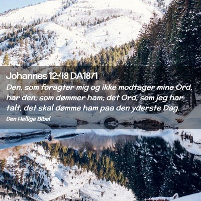 Picture 02 - Johannes 12:48 DA1871 - Den, som foragter mig og ikke modtager mine Ord, - Bible Verse Picture