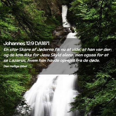 Picture 02 - Johannes 12:9 DA1871 - En stor Skare af Jøderne fik nu at vide, at han - Bible Verse Picture