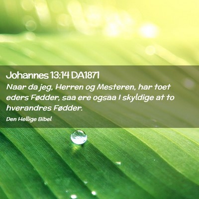 Picture 02 - Johannes 13:14 DA1871 - Naar da jeg, Herren og Mesteren, har toet eders - Bible Verse Picture