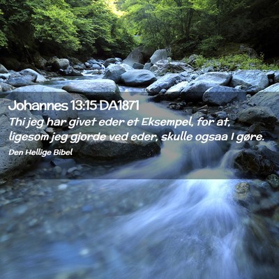 Picture 02 - Johannes 13:15 DA1871 - Thi jeg har givet eder et Eksempel, for at, - Bible Verse Picture