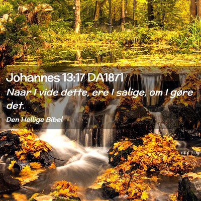 Picture 02 - Johannes 13:17 DA1871 - Naar I vide dette, ere I salige, om I gøre - Bible Verse Picture