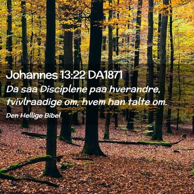 Picture 02 - Johannes 13:22 DA1871 - Da saa Disciplene paa hverandre, tvivlraadige om, - Bible Verse Picture