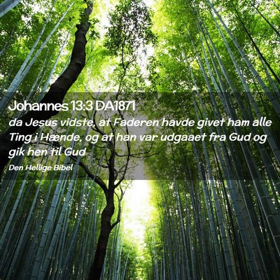 Picture 02 - Johannes 13:3 DA1871 - da Jesus vidste, at Faderen havde givet ham alle - Bible Verse Picture