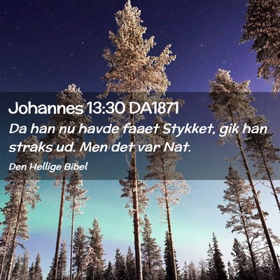 Picture 02 - Johannes 13:30 DA1871 - Da han nu havde faaet Stykket, gik han straks ud. - Bible Verse Picture