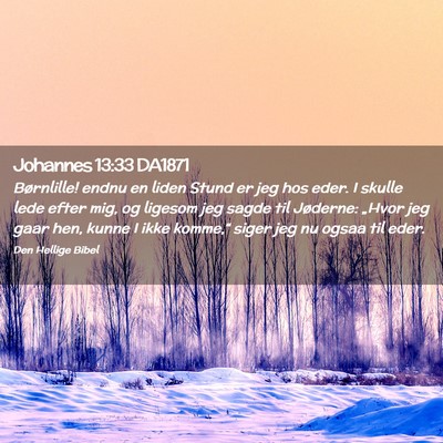Picture 02 - Johannes 13:33 DA1871 - Børnlille! endnu en liden Stund er jeg hos eder. - Bible Verse Picture