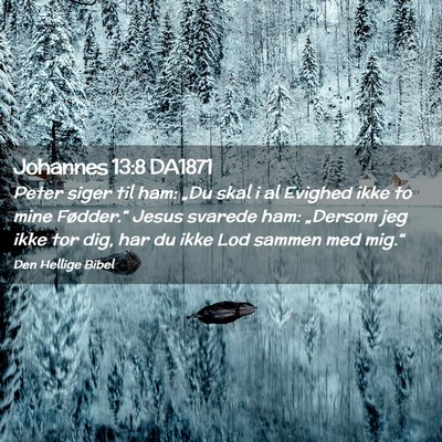 Picture 02 - Johannes 13:8 DA1871 - Peter siger til ham: „Du skal i al Evighed ikke - Bible Verse Picture