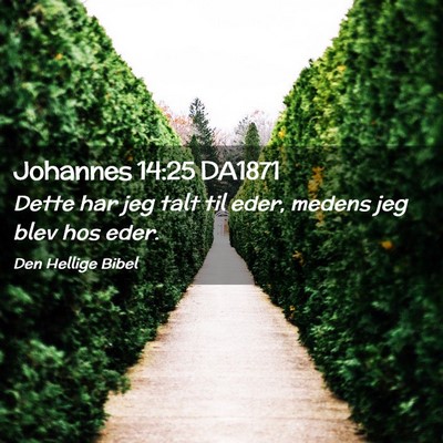 Picture 02 - Johannes 14:25 DA1871 - Dette har jeg talt til eder, medens jeg blev hos - Bible Verse Picture