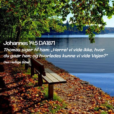 Picture 02 - Johannes 14:5 DA1871 - Thomas siger til ham: „Herre! vi vide ikke, - Bible Verse Picture