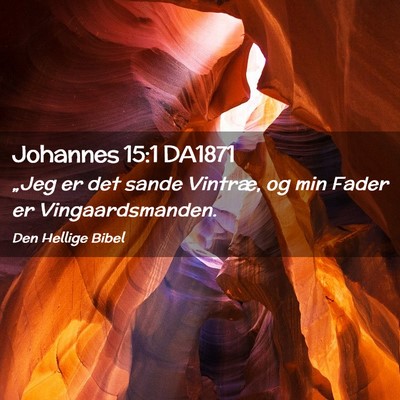 Picture 02 - Johannes 15:1 DA1871 - „Jeg er det sande Vintræ, og min Fader er - Bible Verse Picture