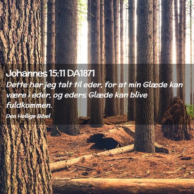 Picture 02 - Johannes 15:11 DA1871 - Dette har jeg talt til eder, for at min Glæde - Bible Verse Picture