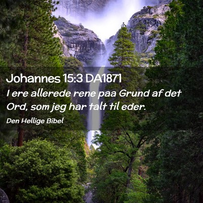 Picture 02 - Johannes 15:3 DA1871 - I ere allerede rene paa Grund af det Ord, som jeg - Bible Verse Picture