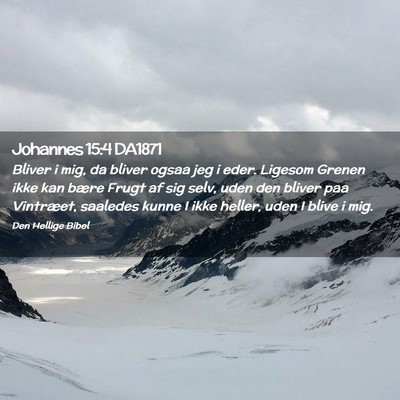 Picture 02 - Johannes 15:4 DA1871 - Bliver i mig, da bliver ogsaa jeg i eder. Ligesom - Bible Verse Picture