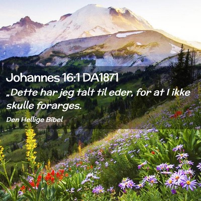 Picture 02 - Johannes 16:1 DA1871 - „Dette har jeg talt til eder, for at I ikke - Bible Verse Picture