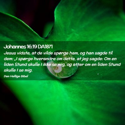 Picture 02 - Johannes 16:19 DA1871 - Jesus vidste, at de vilde spørge ham, og han - Bible Verse Picture