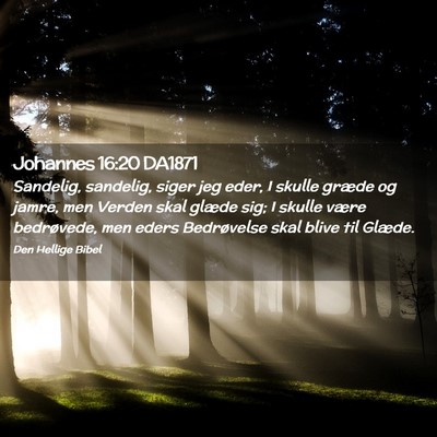 Picture 02 - Johannes 16:20 DA1871 - Sandelig, sandelig, siger jeg eder, I skulle - Bible Verse Picture