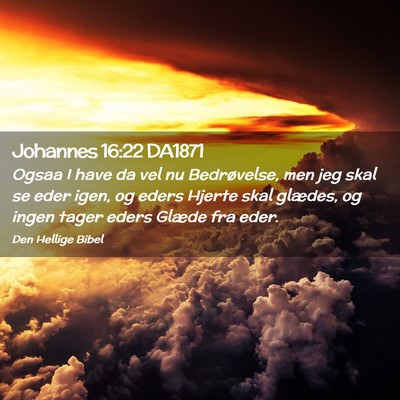 Picture 02 - Johannes 16:22 DA1871 - Ogsaa I have da vel nu Bedrøvelse, men jeg skal - Bible Verse Picture