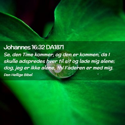 Picture 02 - Johannes 16:32 DA1871 - Se, den Time kommer, og den er kommen, da I - Bible Verse Picture