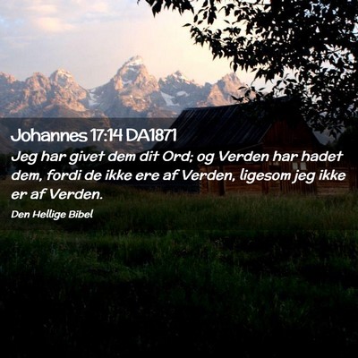 Picture 02 - Johannes 17:14 DA1871 - Jeg har givet dem dit Ord; og Verden har hadet - Bible Verse Picture