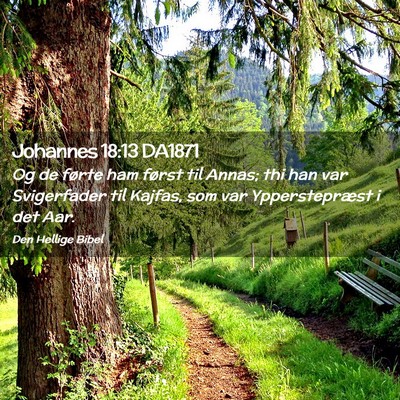 Picture 02 - Johannes 18:13 DA1871 - Og de førte ham først til Annas; thi han var - Bible Verse Picture