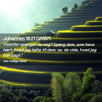 Picture 02 - Johannes 18:21 DA1871 - Hvorfor spørger du mig? Spørg dem, som have - Bible Verse Picture