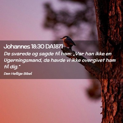 Picture 02 - Johannes 18:30 DA1871 - De svarede og sagde til ham: „Var han ikke en - Bible Verse Picture