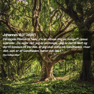 Picture 02 - Johannes 18:37 DA1871 - Da sagde Pilatus til ham: „Du er altsaa dog en - Bible Verse Picture