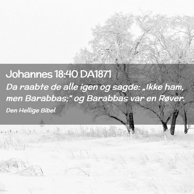 Picture 02 - Johannes 18:40 DA1871 - Da raabte de alle igen og sagde: „Ikke ham, men - Bible Verse Picture
