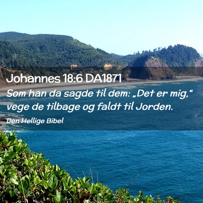 Picture 02 - Johannes 18:6 DA1871 - Som han da sagde til dem: „Det er mig,“ vege - Bible Verse Picture