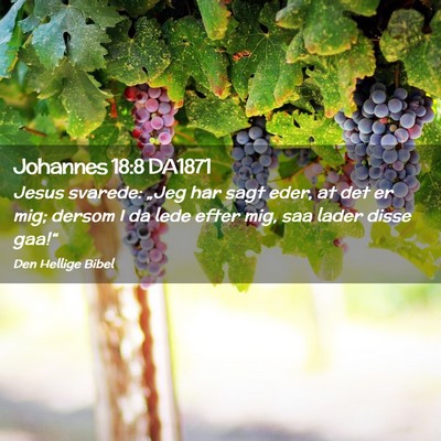 Picture 02 - Johannes 18:8 DA1871 - Jesus svarede: „Jeg har sagt eder, at det er - Bible Verse Picture
