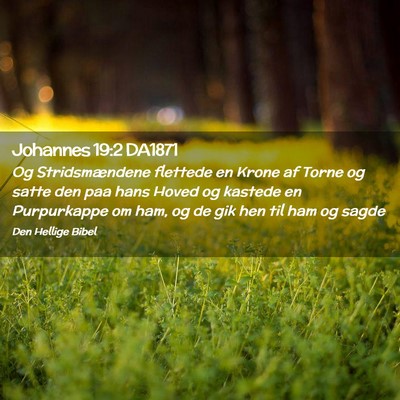 Picture 02 - Johannes 19:2 DA1871 - Og Stridsmændene flettede en Krone af Torne og - Bible Verse Picture