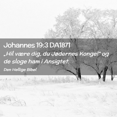 Picture 02 - Johannes 19:3 DA1871 - „Hil være dig, du Jødernes Konge!“ og de - Bible Verse Picture