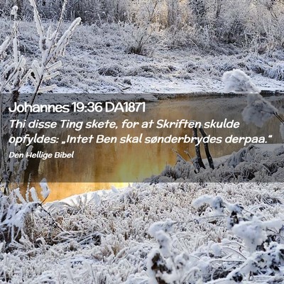 Picture 02 - Johannes 19:36 DA1871 - Thi disse Ting skete, for at Skriften skulde - Bible Verse Picture