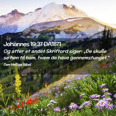 Picture 02 - Johannes 19:37 DA1871 - Og atter et andet Skriftord siger: „De skulle - Bible Verse Picture