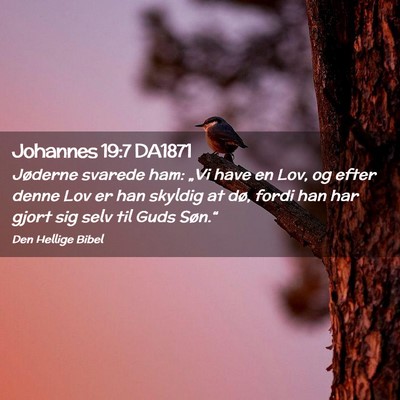 Picture 02 - Johannes 19:7 DA1871 - Jøderne svarede ham: „Vi have en Lov, og efter - Bible Verse Picture