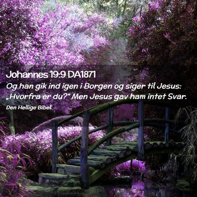 Picture 02 - Johannes 19:9 DA1871 - Og han gik ind igen i Borgen og siger til Jesus: - Bible Verse Picture