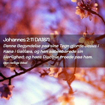 Picture 02 - Johannes 2:11 DA1871 - Denne Begyndelse paa sine Tegn gjorde Jesus i - Bible Verse Picture