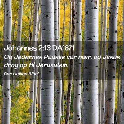 Picture 02 - Johannes 2:13 DA1871 - Og Jødernes Paaske var nær, og Jesus drog op - Bible Verse Picture