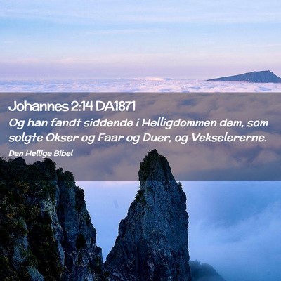 Picture 02 - Johannes 2:14 DA1871 - Og han fandt siddende i Helligdommen dem, som - Bible Verse Picture