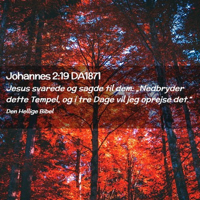 Picture 02 - Johannes 2:19 DA1871 - Jesus svarede og sagde til dem: „Nedbryder - Bible Verse Picture
