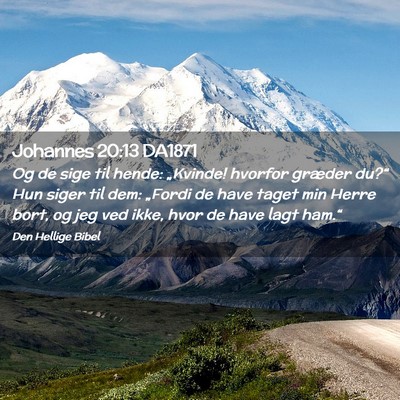 Picture 02 - Johannes 20:13 DA1871 - Og de sige til hende: „Kvinde! hvorfor græder - Bible Verse Picture